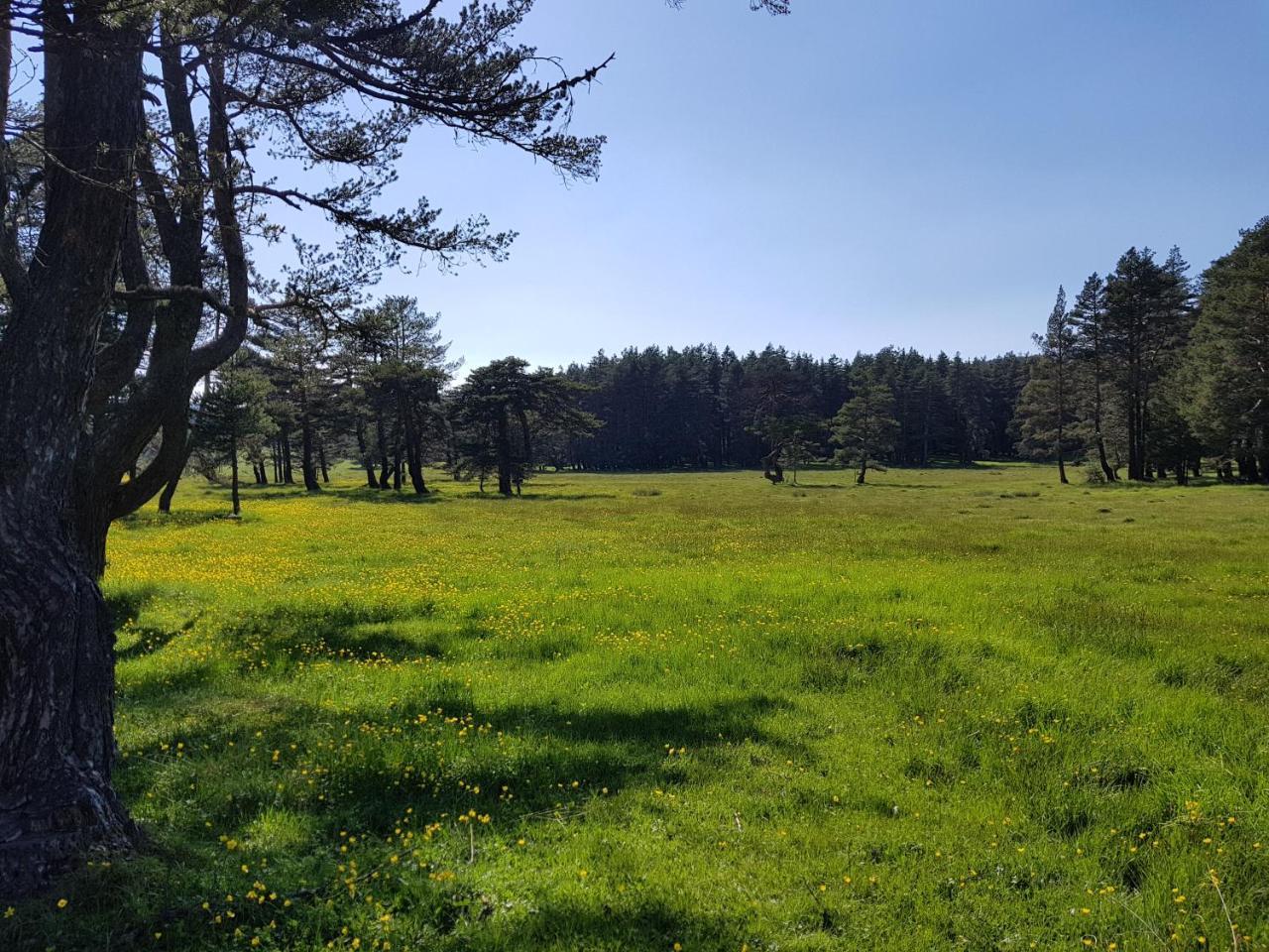 Bolu Adya Hotel Buitenkant foto