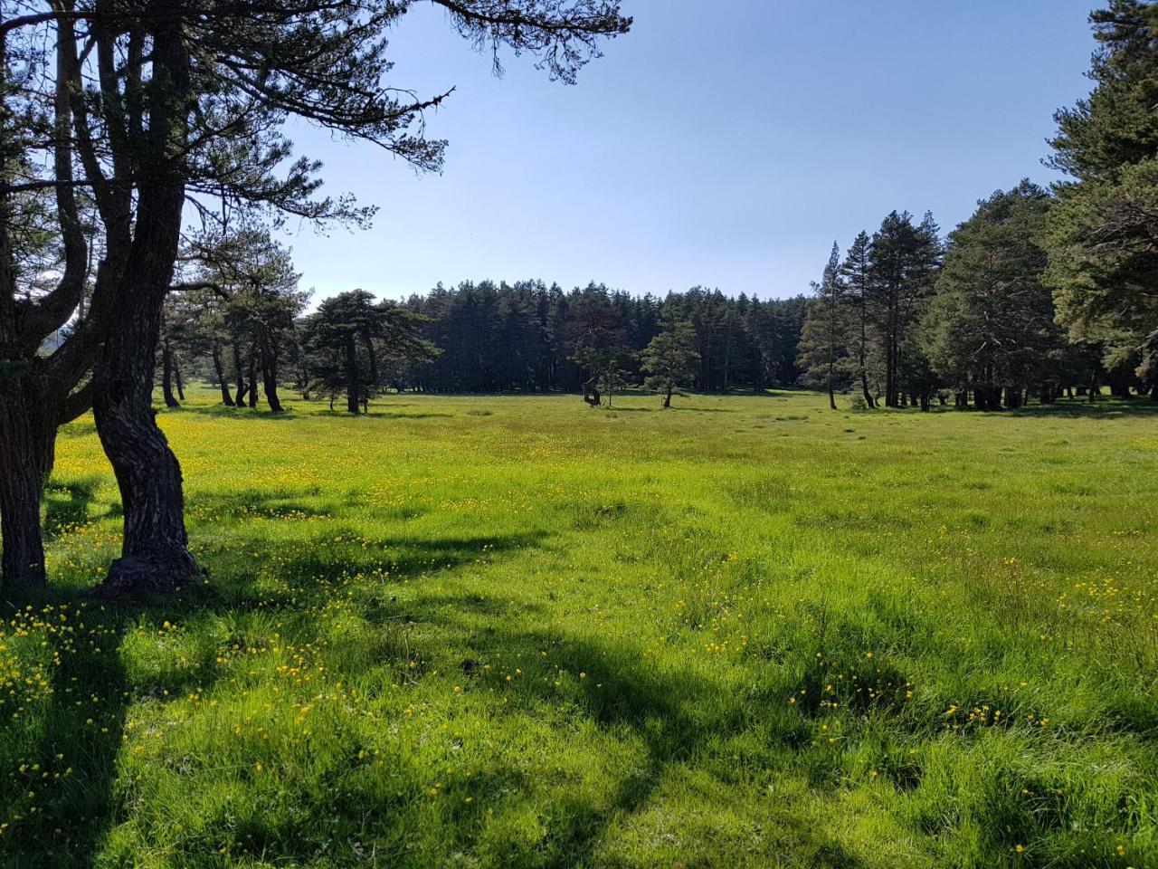 Bolu Adya Hotel Buitenkant foto