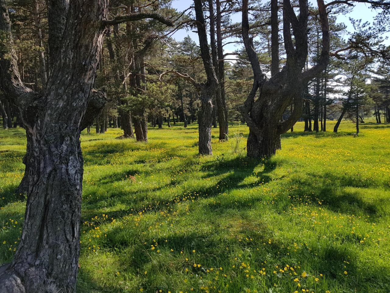 Bolu Adya Hotel Buitenkant foto